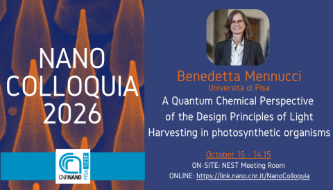 Mennucci 