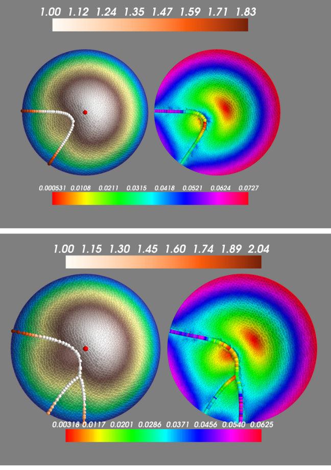 Optimization problems and regularity in the Calculus of Variations